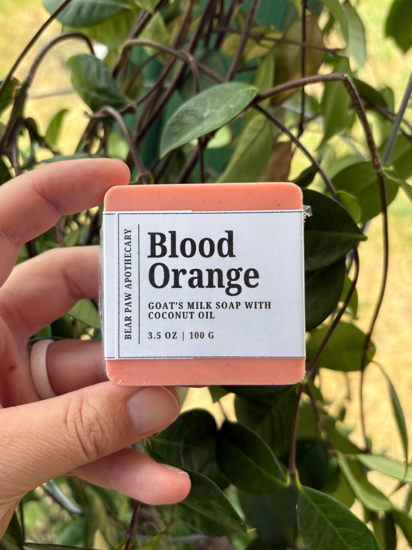 Blood Orange | Goat’s Milk Soap Bar