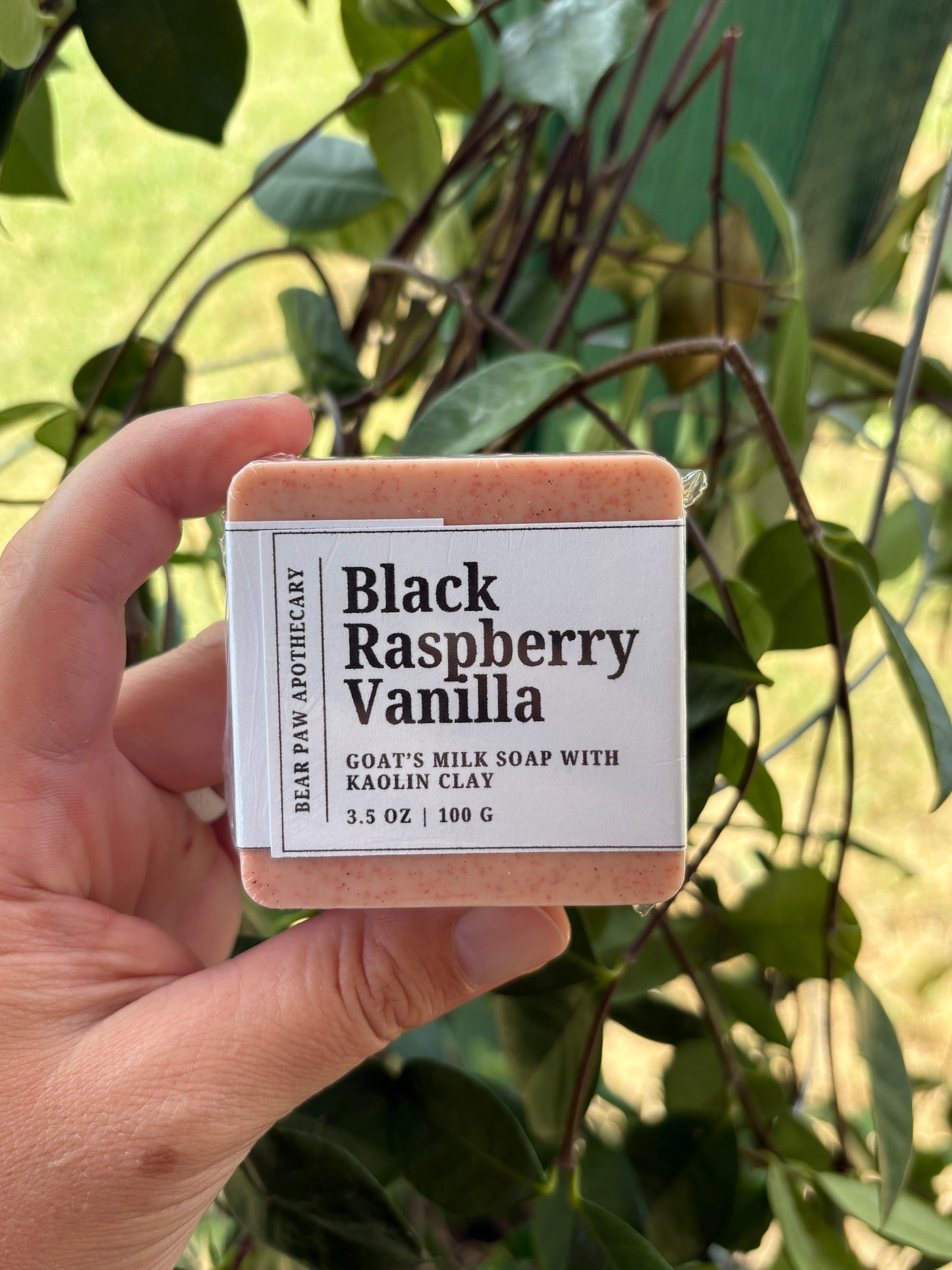Black Raspberry Vanilla | Goat's Milk Soap Bar | Pink Kaolin Clay