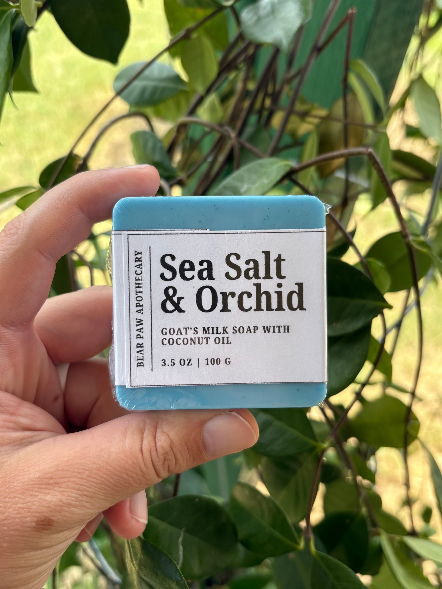 Sea Salt & Orchid | Goat's Milk Soap Bar | Moisturizing