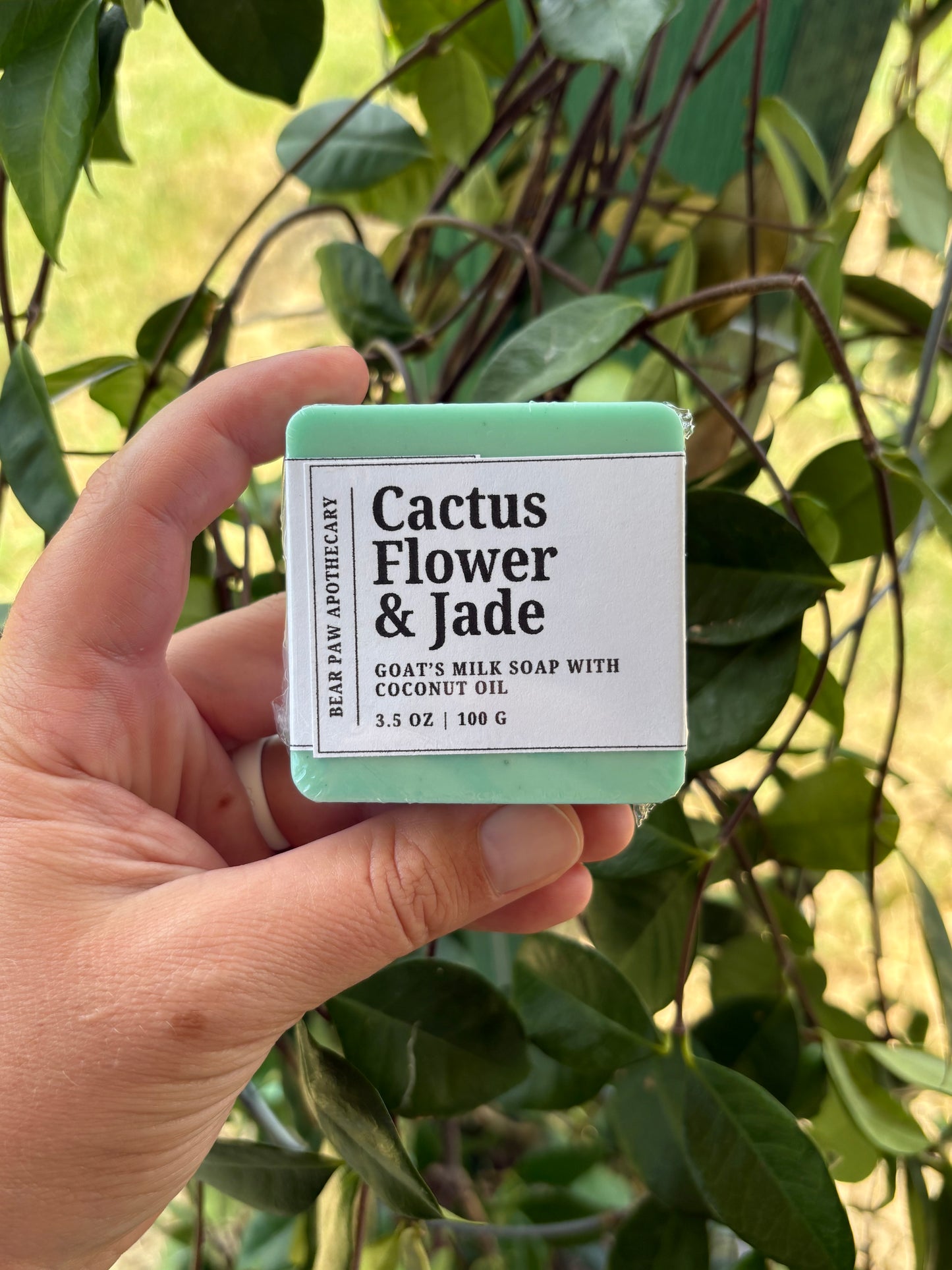 Cactus Flower & Jade | Goat's Milk Soap Bar | Moisturizing