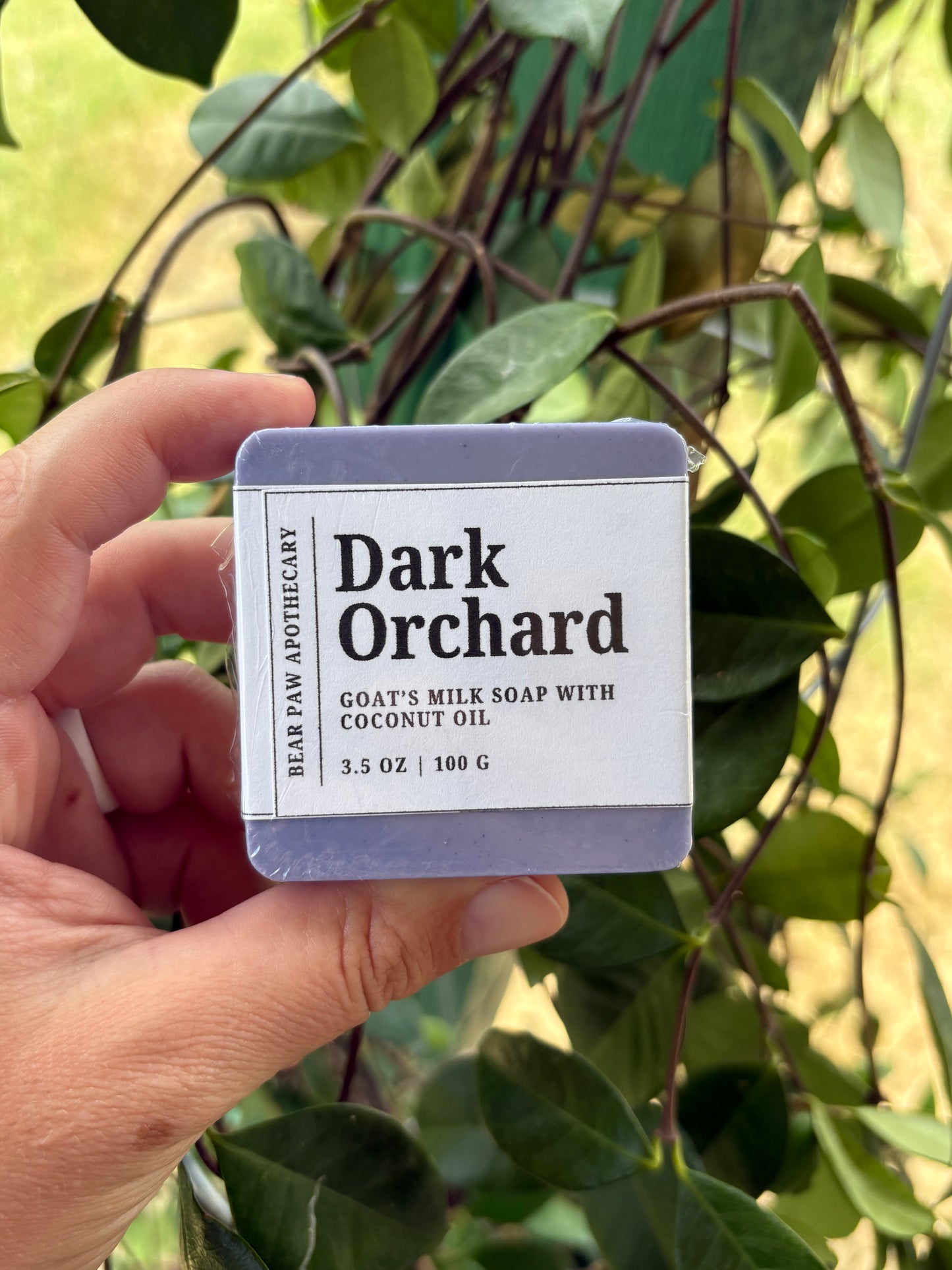 Dark Orchard | Goat’s Milk Soap