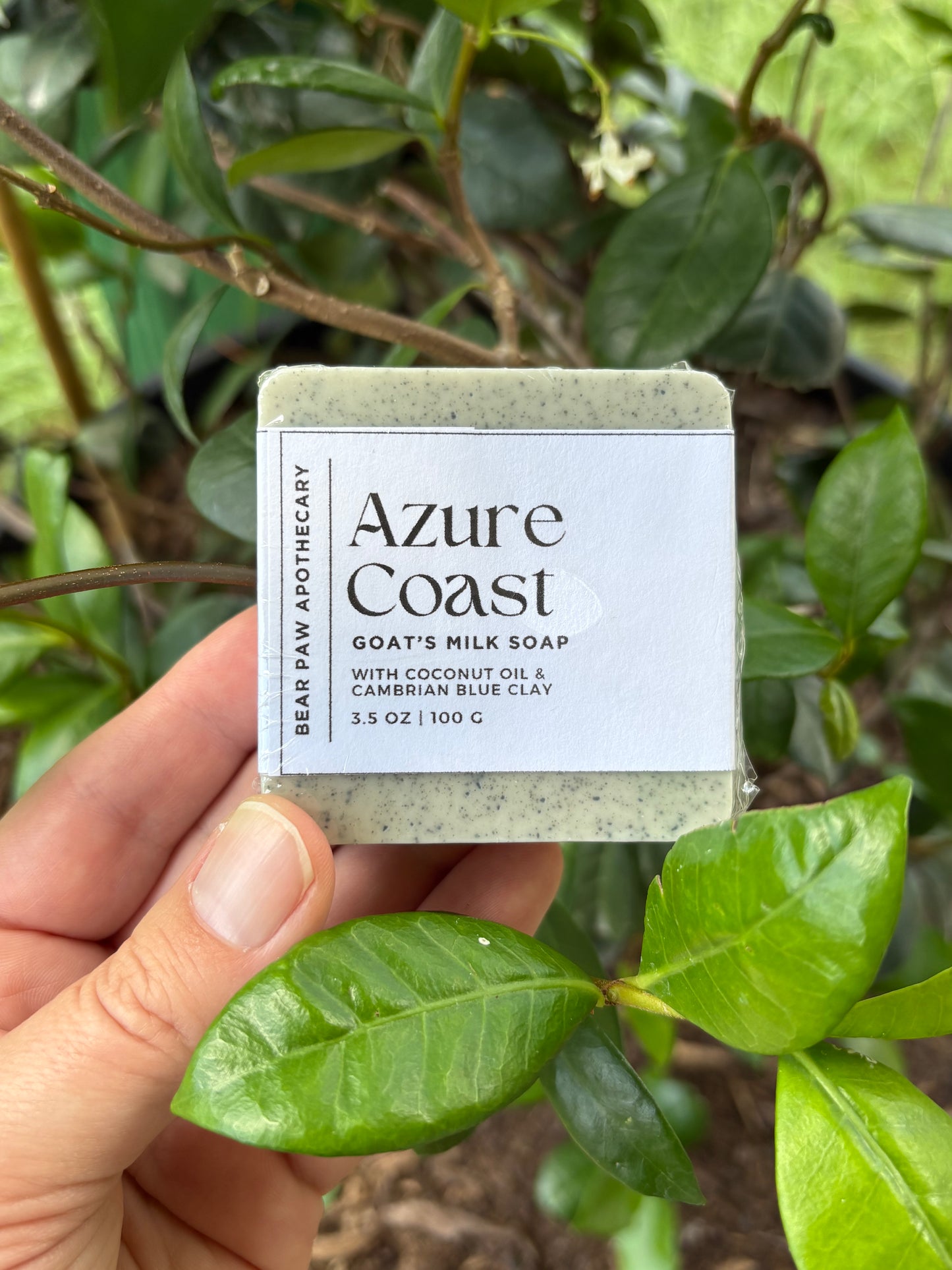 Azure Coast | Goat’s Milk Soap Bar | Cambrian Blue Clay