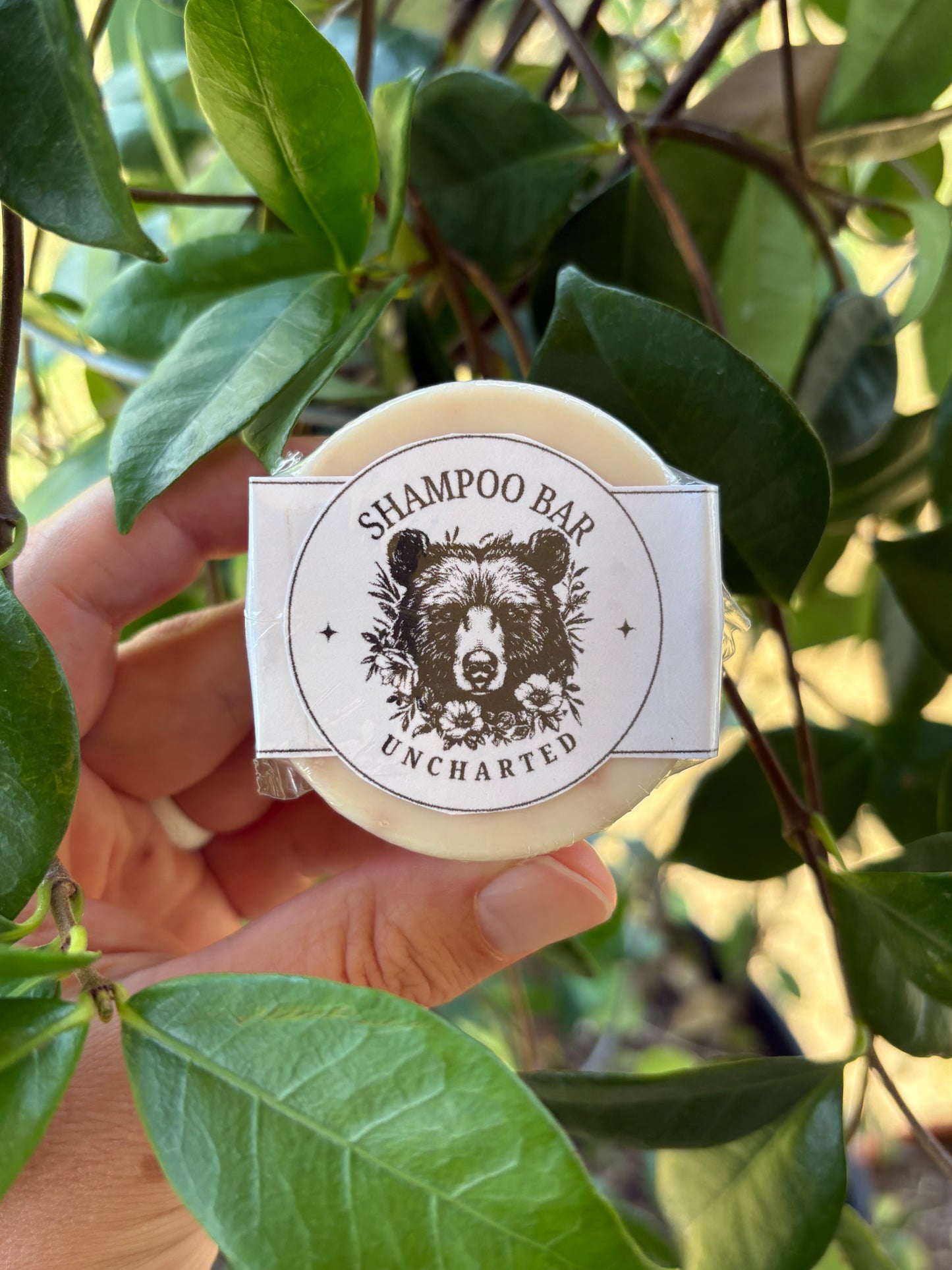 Shampoo Bar | Promotes Scalp Health & Hair Growth