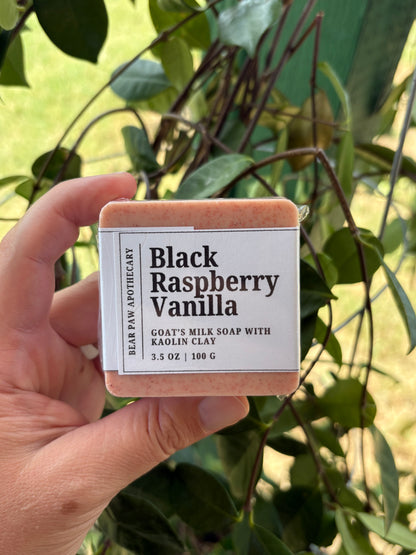 Black Raspberry Vanilla | Goat's Milk Soap Bar | Pink Kaolin Clay