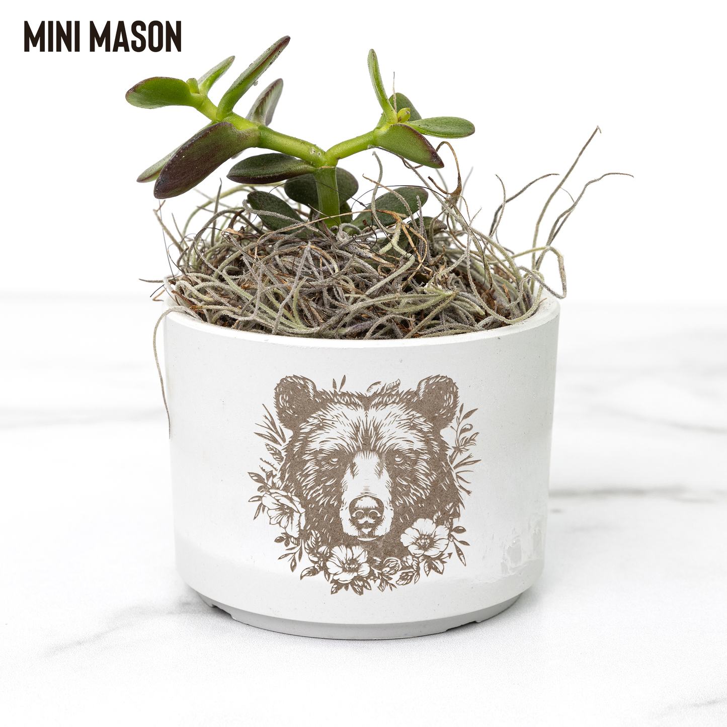 Bear_Paw_Potted_Plants_Mason_Mockup_Mockup.png