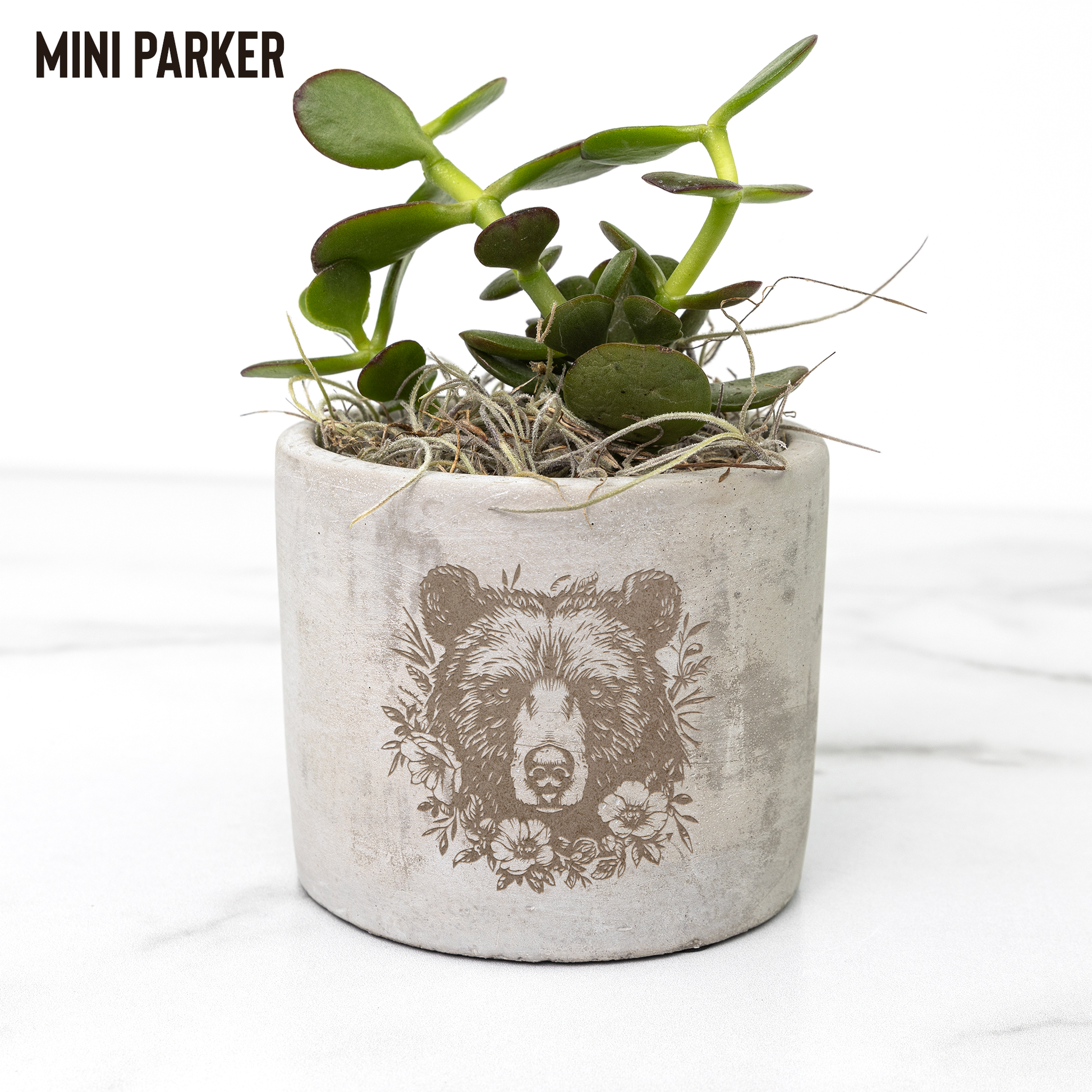 Bear_Paw_Potted_Plants_Parker_Mockup_Mockup.png