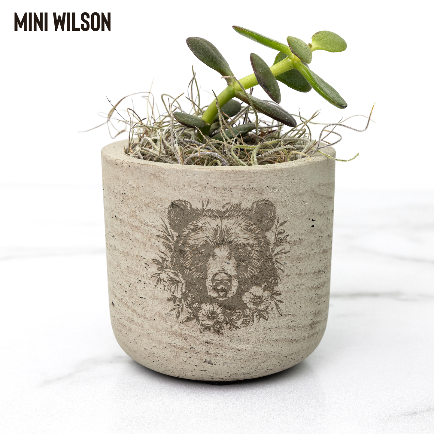 Bear_Paw_Potted_Plants_Wilson_Mockup_Mockup.png
