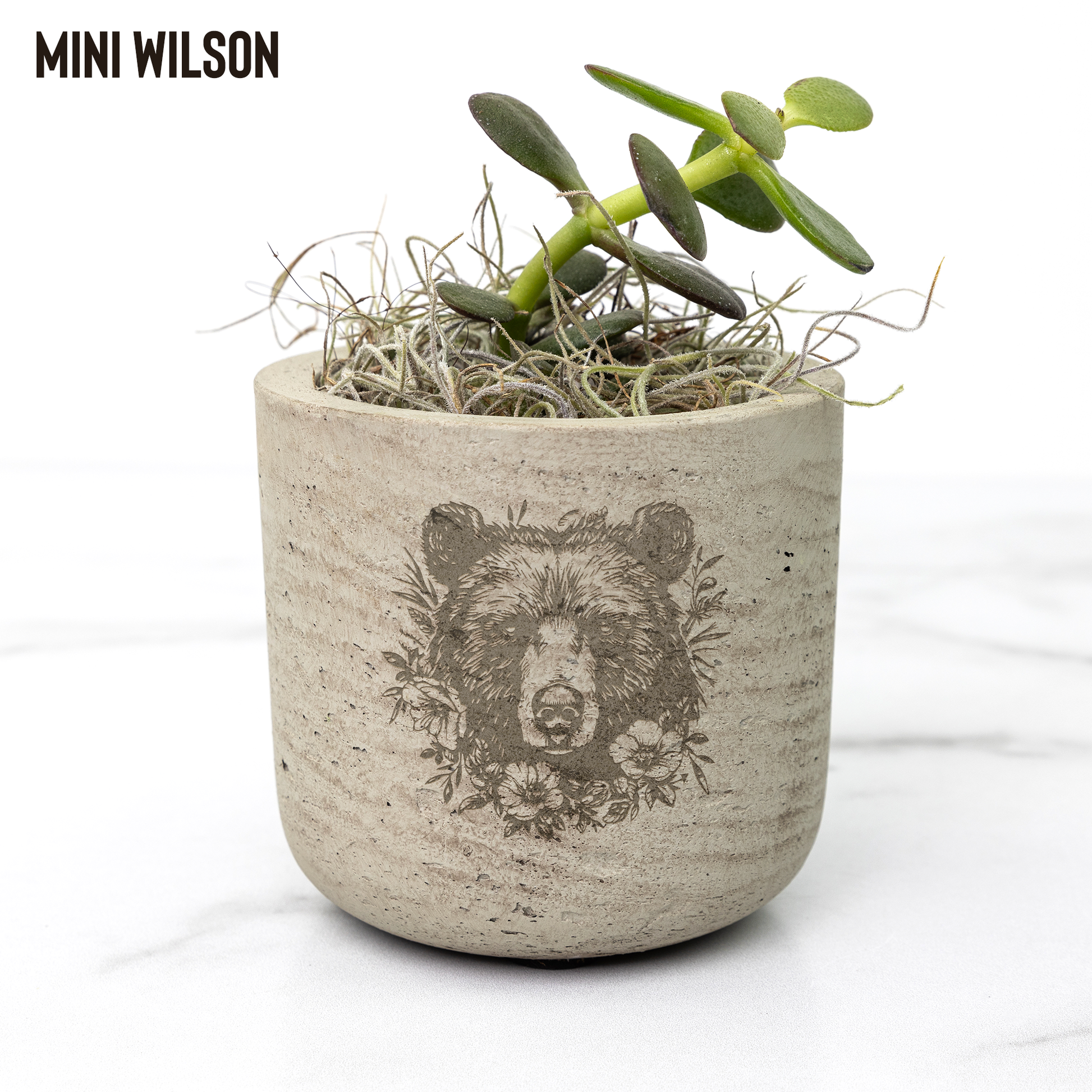 Bear_Paw_Potted_Plants_Wilson_Mockup_Mockup.png