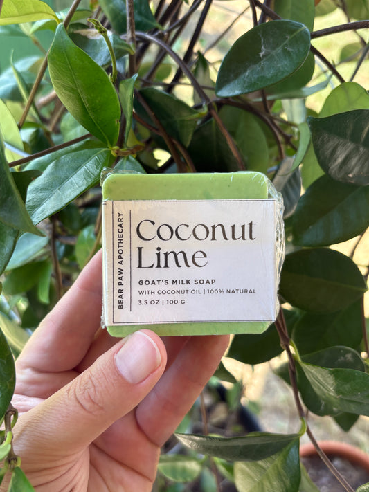 Coconut Lime | Goat's Milk Soap Bar | Moisturizing