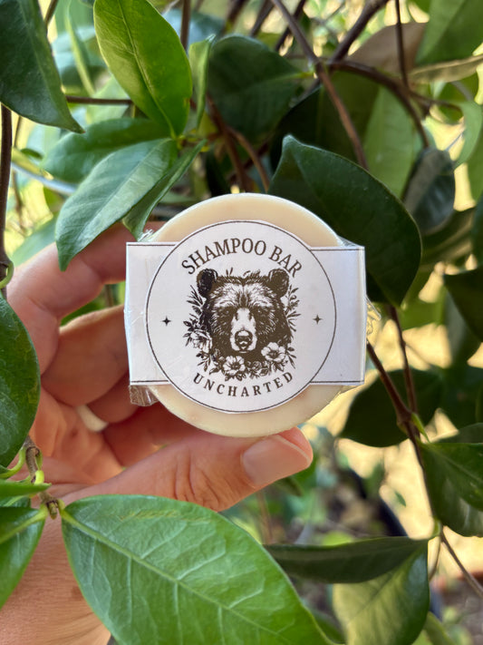 Shampoo Bar | Promotes Scalp Health & Hair Growth