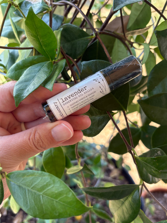 Lavender | Essential Oil Roller | Calming