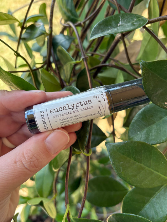 Eucalyptus | Essential Oil Roller | Provides Bright Energy