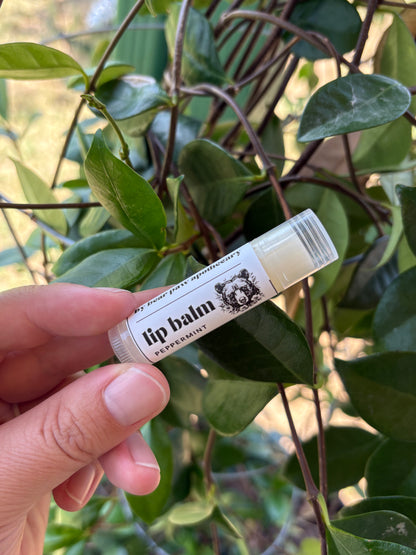 Lip Balm | Beeswax | Peppermint | Moisturizing | Protect